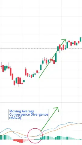 MACD Indicator